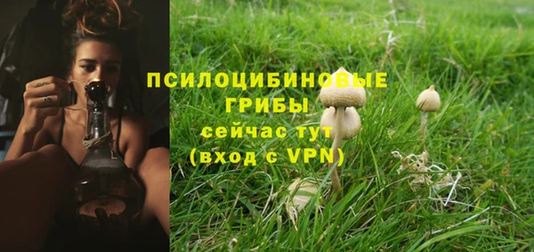 mix Чегем