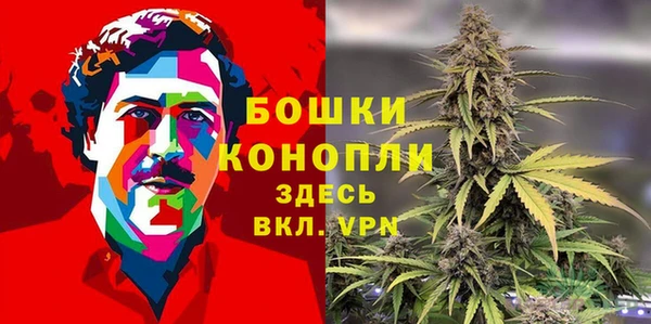 ПСИЛОЦИБИНОВЫЕ ГРИБЫ Зеленодольск