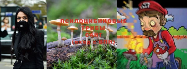 ПСИЛОЦИБИНОВЫЕ ГРИБЫ Зеленодольск