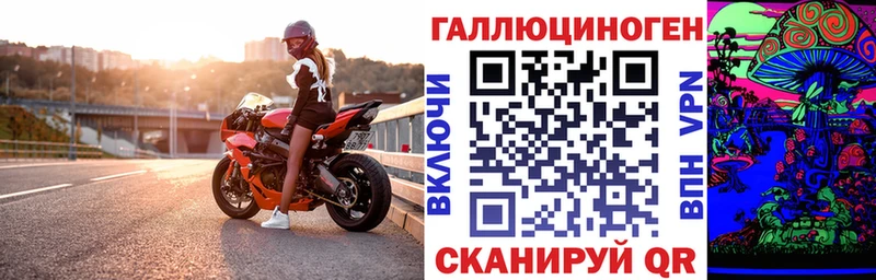 Галлюциногенные грибы Psilocybe  Купить  Любим 